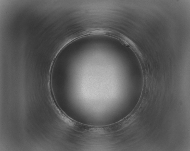 X0000073501194200607311244