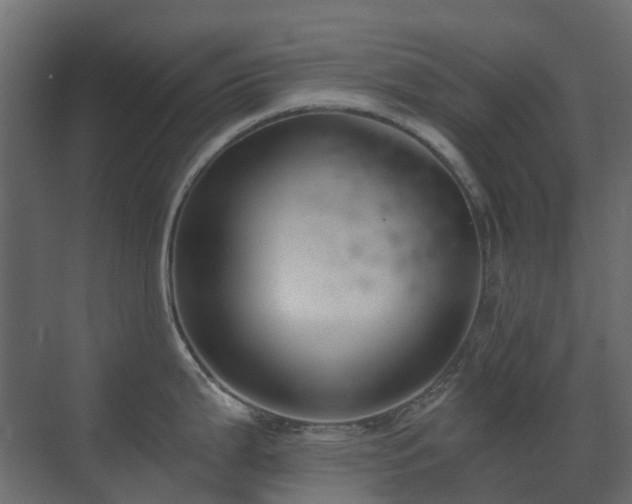 X0000073501199200607311244