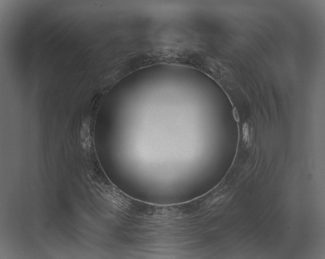 X0000073501203200607311243