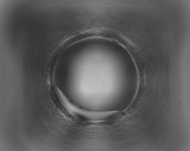 X0000073501206200607311244