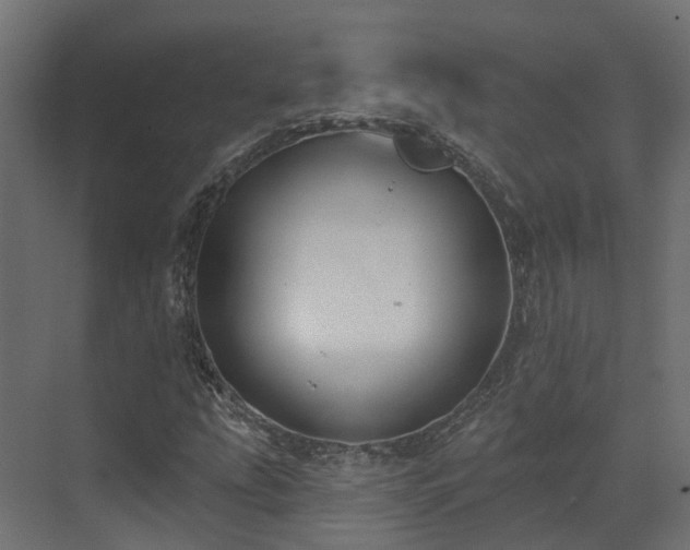 X0000073501207200607311244