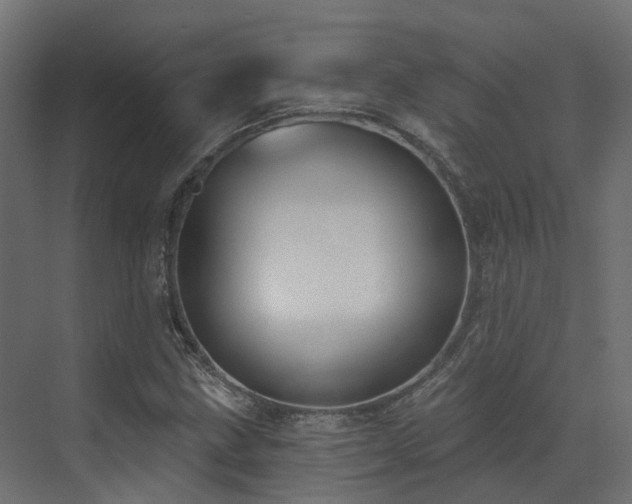 X0000073501211200607311244