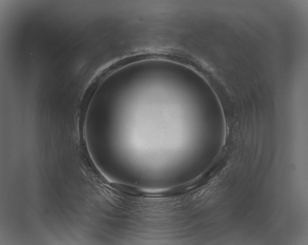 X0000073501214200607311244