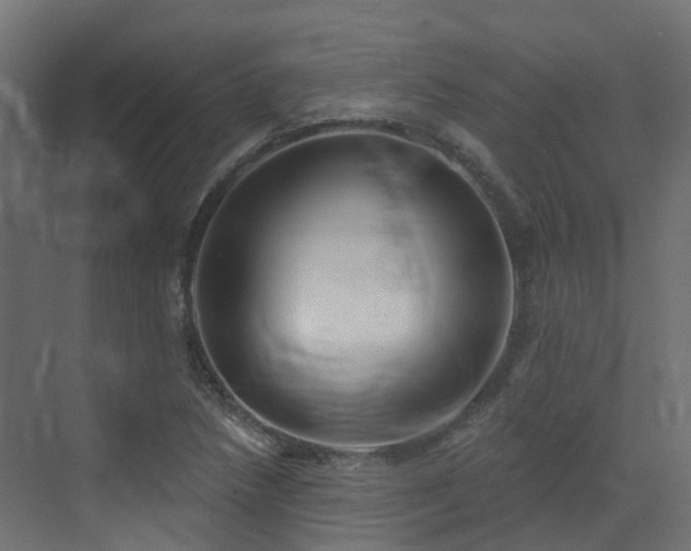 X0000073501218200607311244