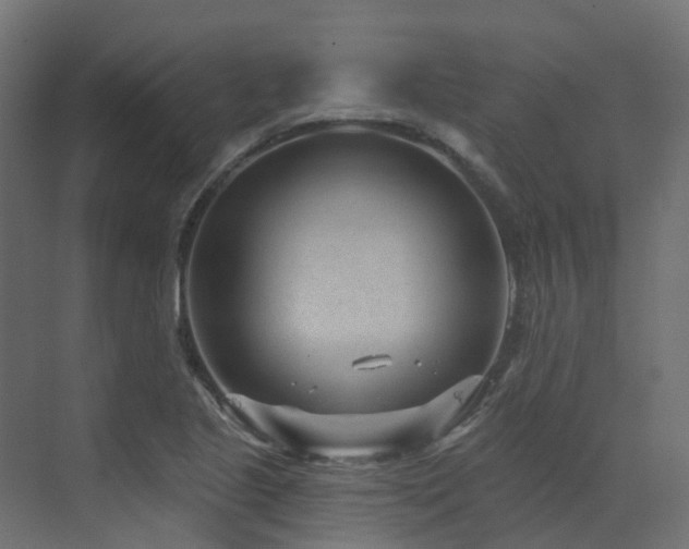 X0000073501221200607311244