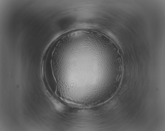 X0000073501227200607311244