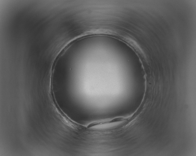 X0000073501228200607311244