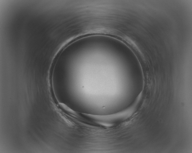 X0000073501230200607311244