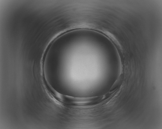 X0000073501238200607311244