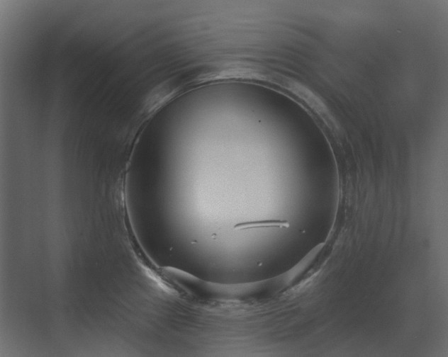 X0000073501241200607311244