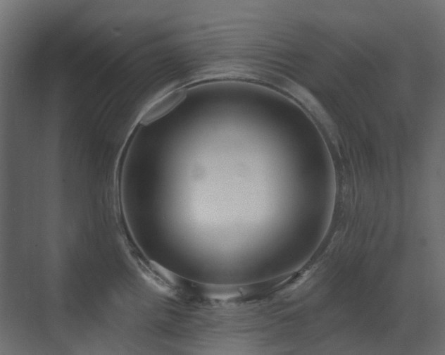 X0000073501242200607311244