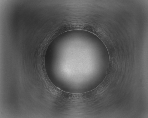 X0000073501249200607311243