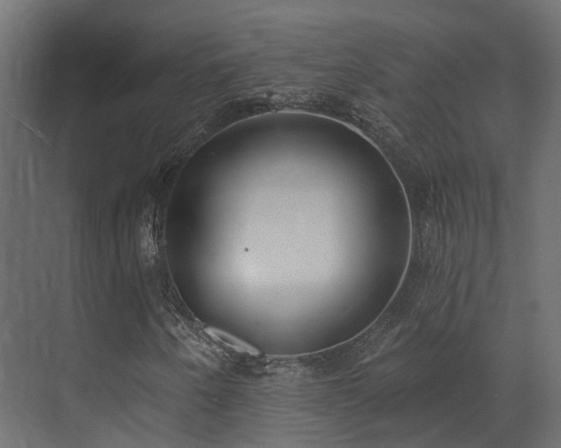 X0000073501250200607311243