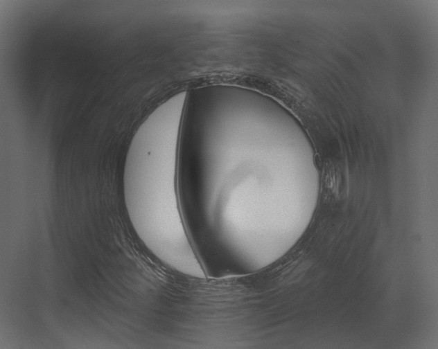 X0000073501252200607311243