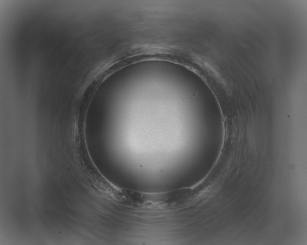 X0000073501261200607311243