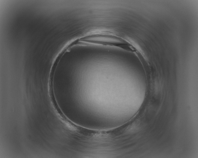 X0000073501277200607311243