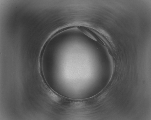 X0000073501280200607311243