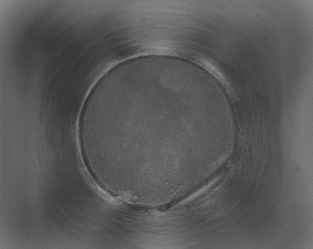 X0000073501283200607311243