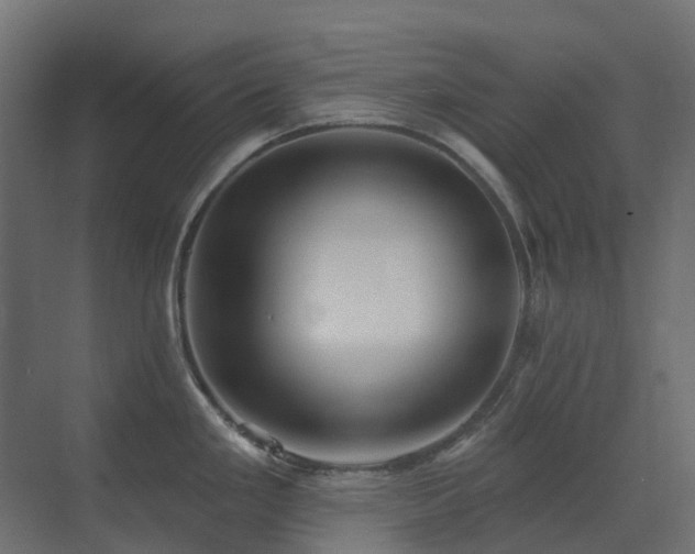 X0000073501293200607311243