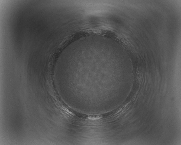 X0000073501297200607311242