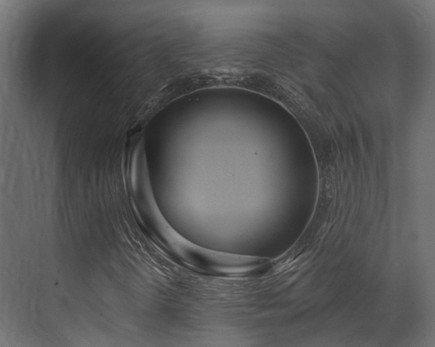 X0000073501298200607311242