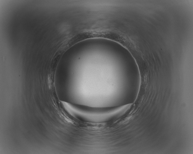 X0000073501300200607311242