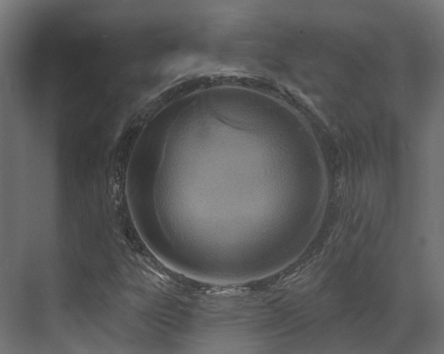 X0000073501303200607311242