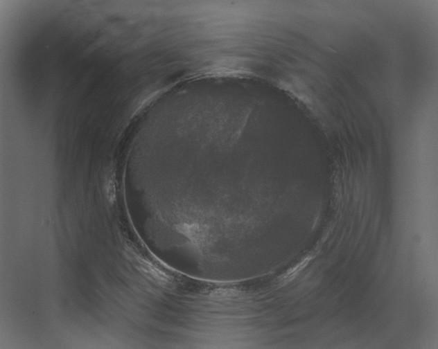 X0000073501306200607311242