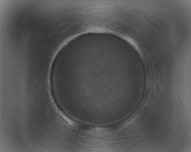 X0000073501327200607311242