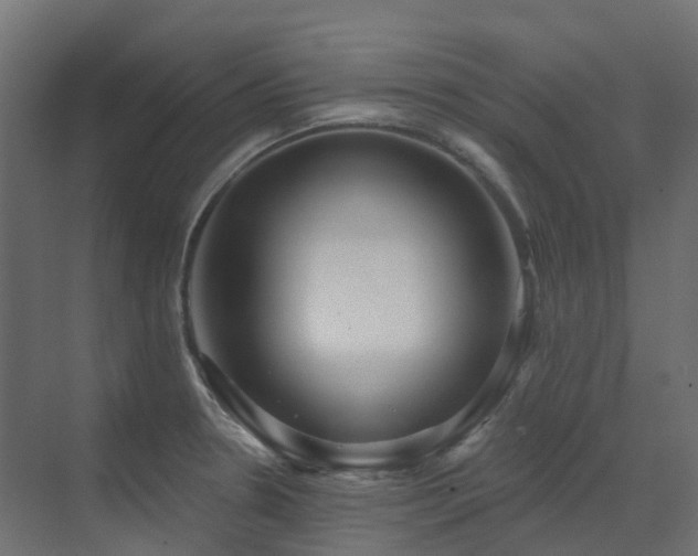 X0000073501330200607311242