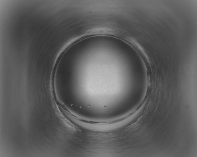 X0000073501336200607311242
