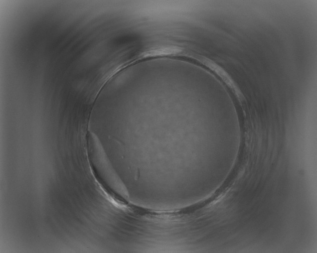 X0000073501337200607311242