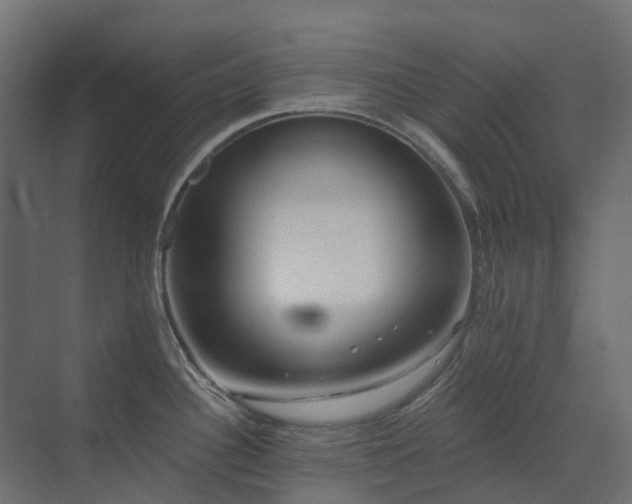 X0000073501340200607311243