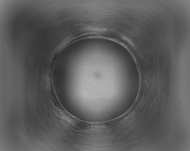X0000073501354200607311242