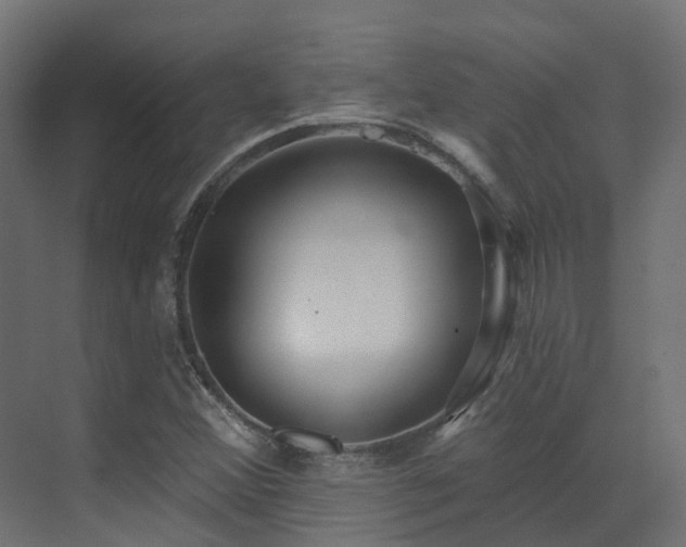 X0000073501356200607311242