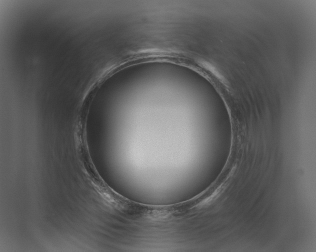 X0000073501357200607311242