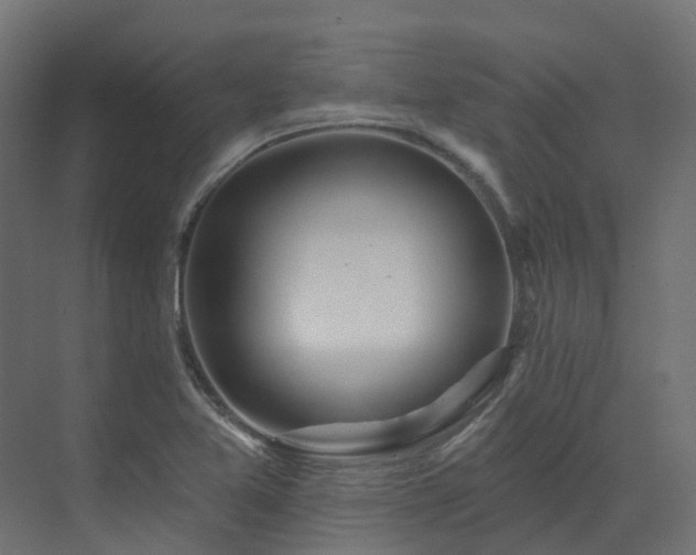 X0000073501365200607311241