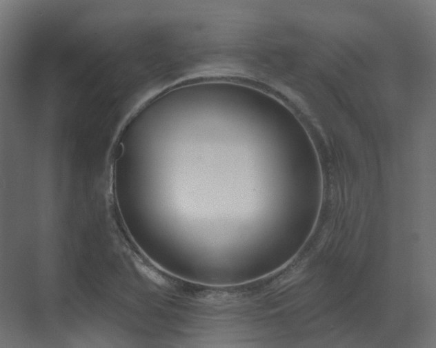 X0000073501366200607311241