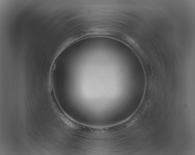 X0000073501370200607311241