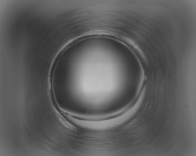 X0000073501372200607311241