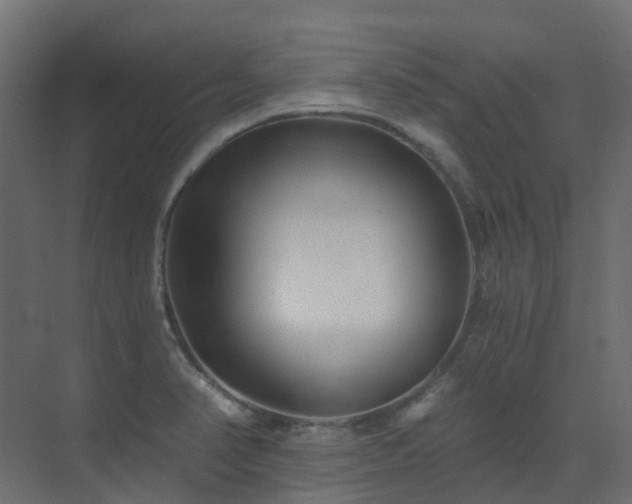 X0000073501374200607311241
