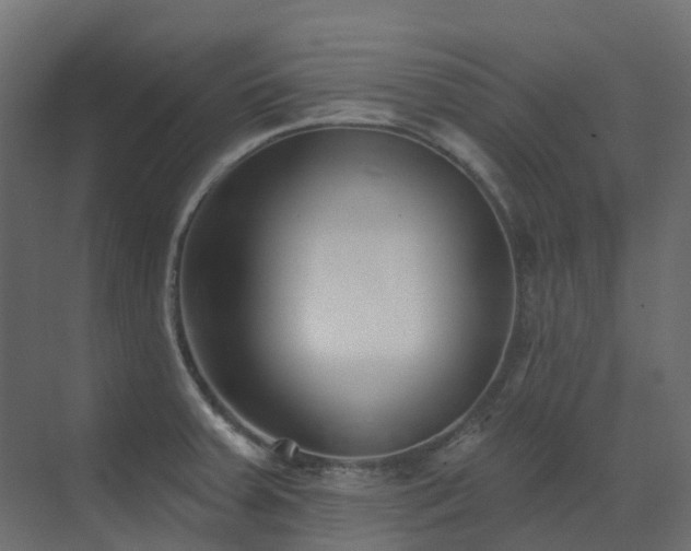X0000073501379200607311241