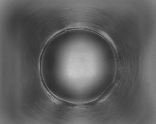 X0000073501388200607311241