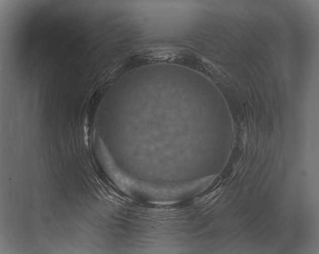 X0000073501394200607311240