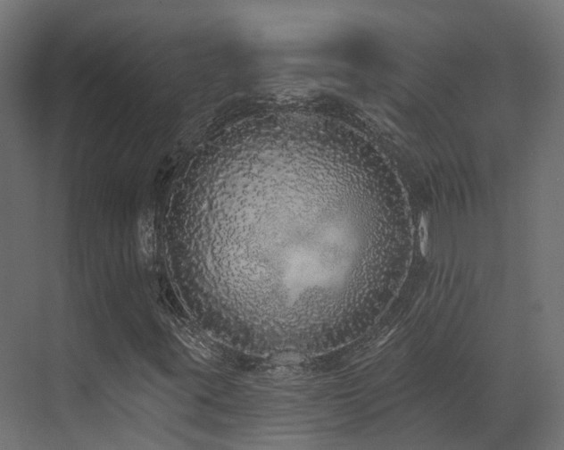 X0000073501395200607311240