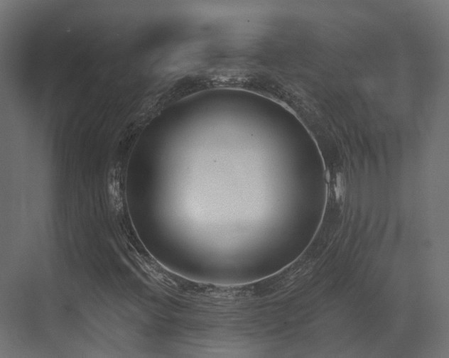 X0000073501396200607311240