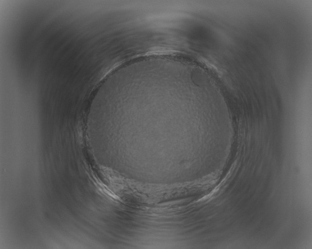 X0000073501401200607311240