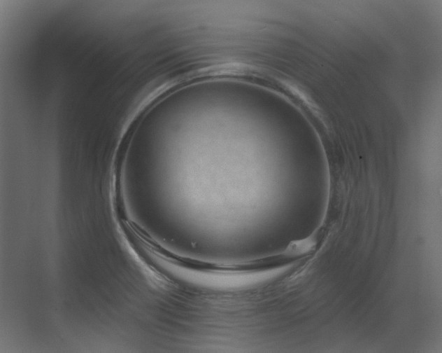 X0000073501418200607311241