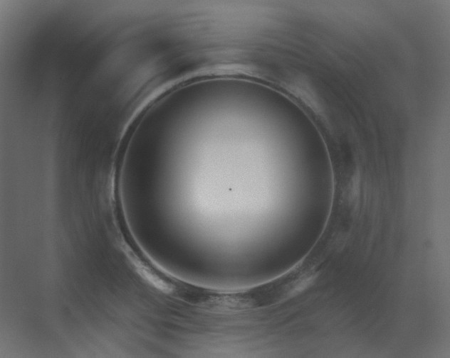 X0000073501420200607311241