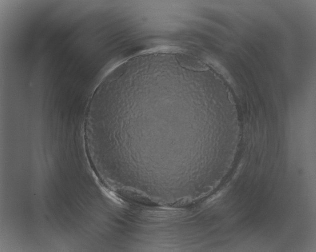 X0000073501425200607311241